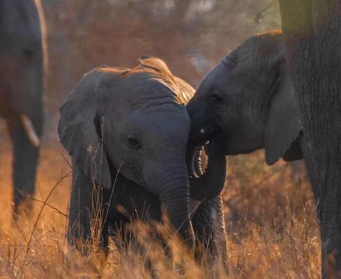 Пансион C Rane Guesthouse