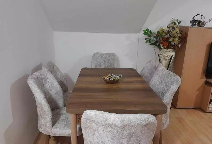 پانسیون Goshevski Apartment