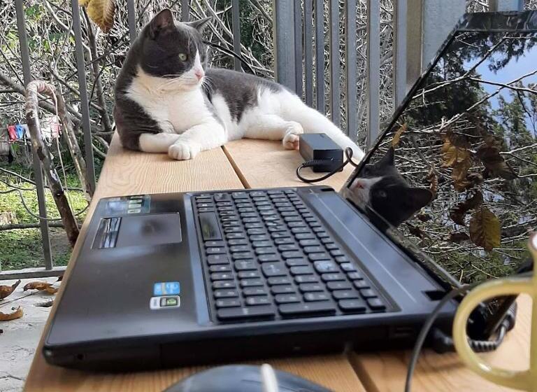 هاستل Coworking & Coliving Gumbrini