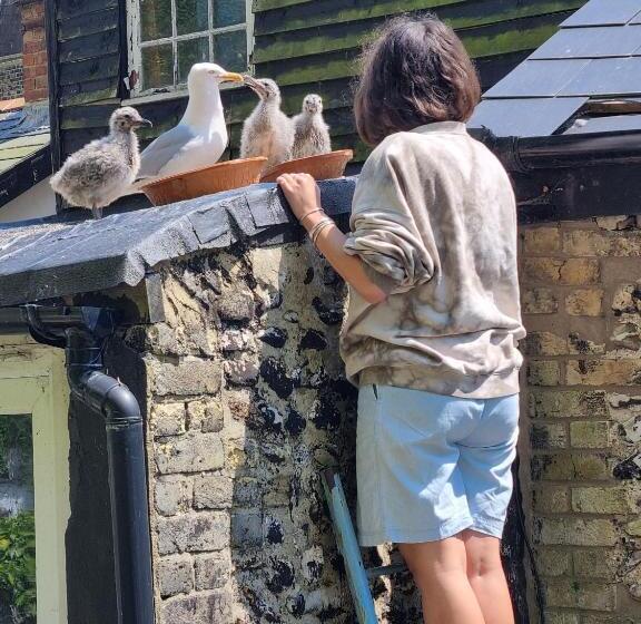 First And Last Youth Hostel