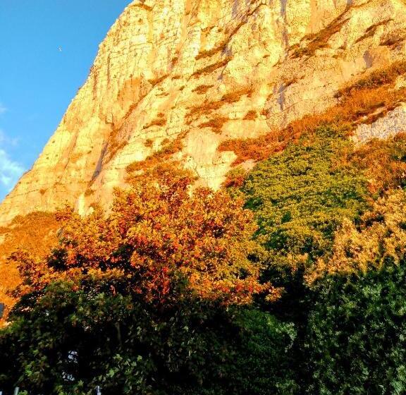 First And Last Youth Hostel