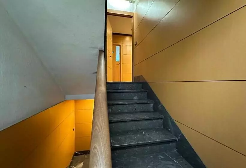 ユースホステル Mikasita Pamplona Student Residence