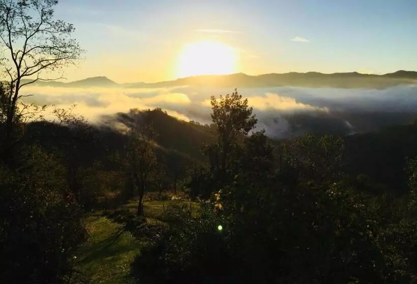 Aamiaismajoitus (B&B) Lumi House