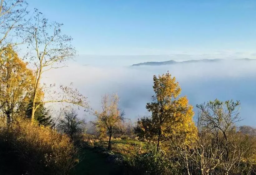 Aamiaismajoitus (B&B) Lumi House