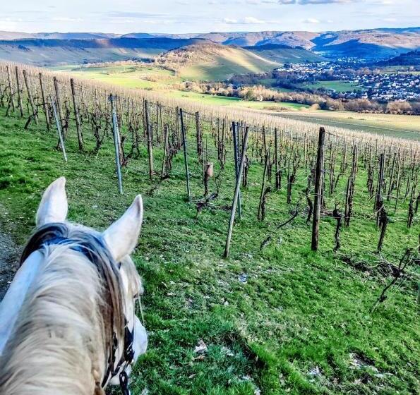 צימר Sometimes Zimmer Gehaichnishof 7born