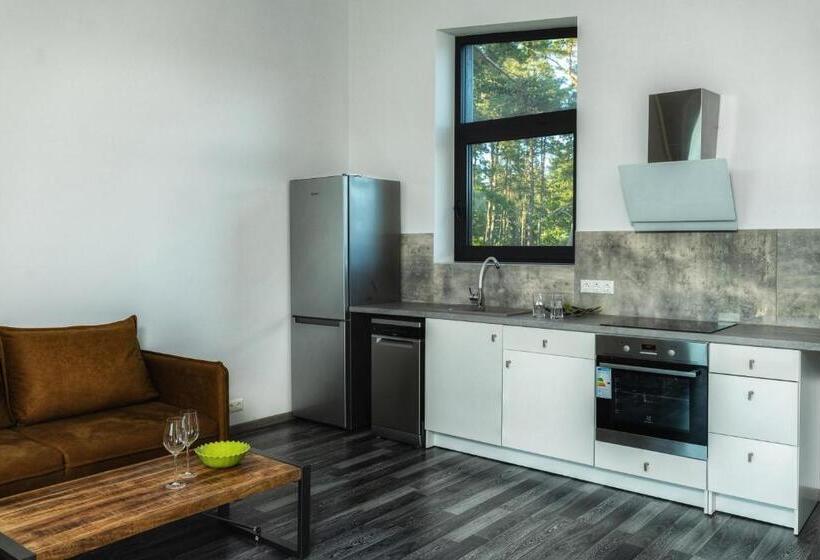 Gaujaclub   2 And 3 Room Design Lofts Riverside