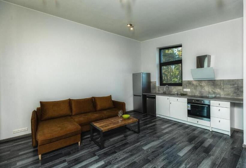 Gaujaclub   2 And 3 Room Design Lofts Riverside