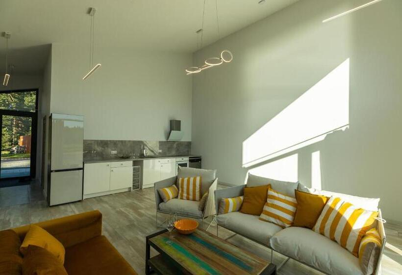 Gaujaclub   2 And 3 Room Design Lofts Riverside