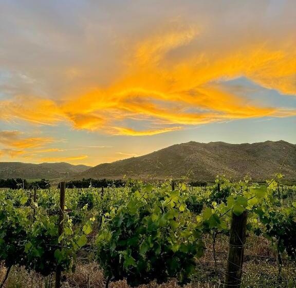 ホテル Bruma Wine Resort