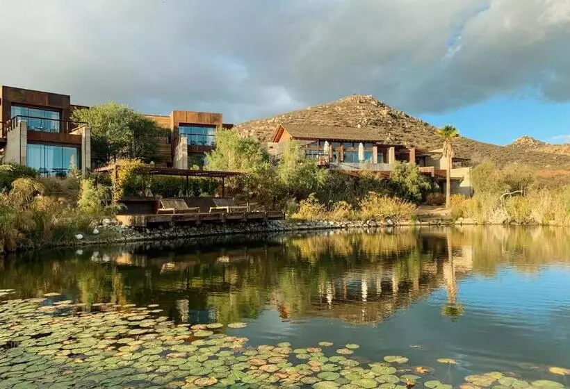 Hotelli Bruma Wine Resort