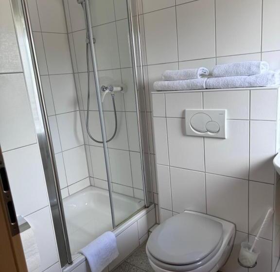 Отель Haus Berrenrath