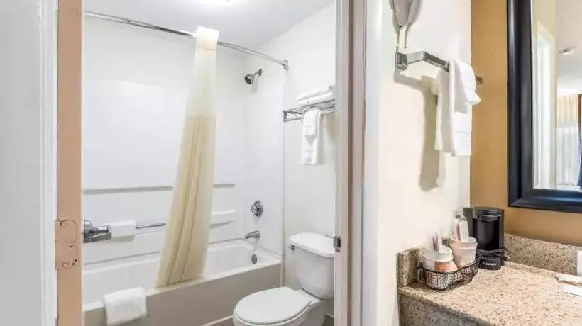 ホテル Quality Inn Downtown