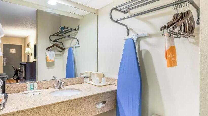 Otel Quality Inn Downtown