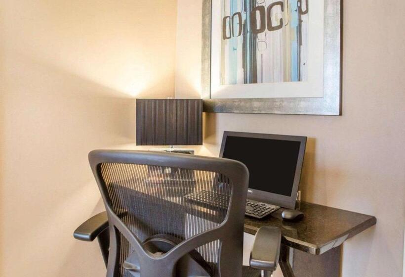 Otel Quality Inn Downtown