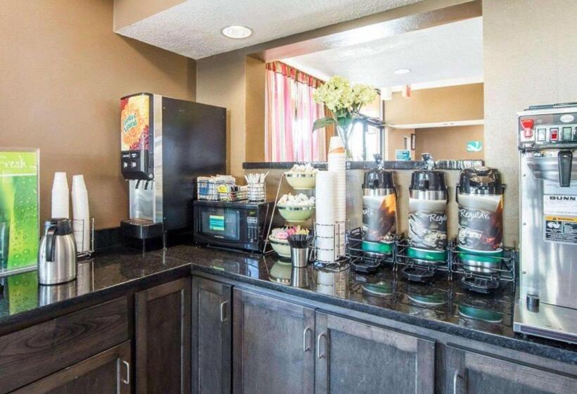 Otel Quality Inn Downtown