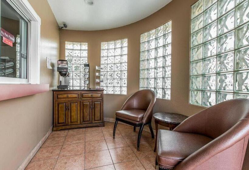 ホテル Rodeway Inn