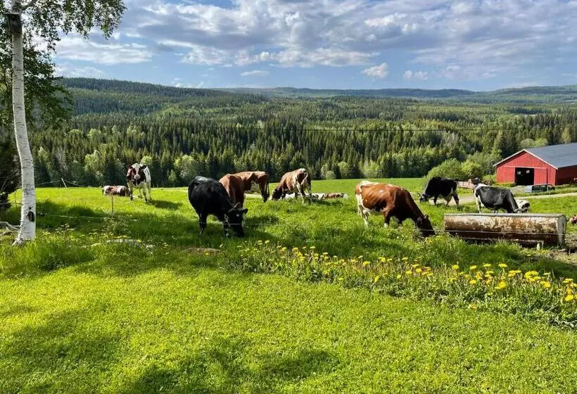 ホテル Smedja Overnatting Og Ysteri