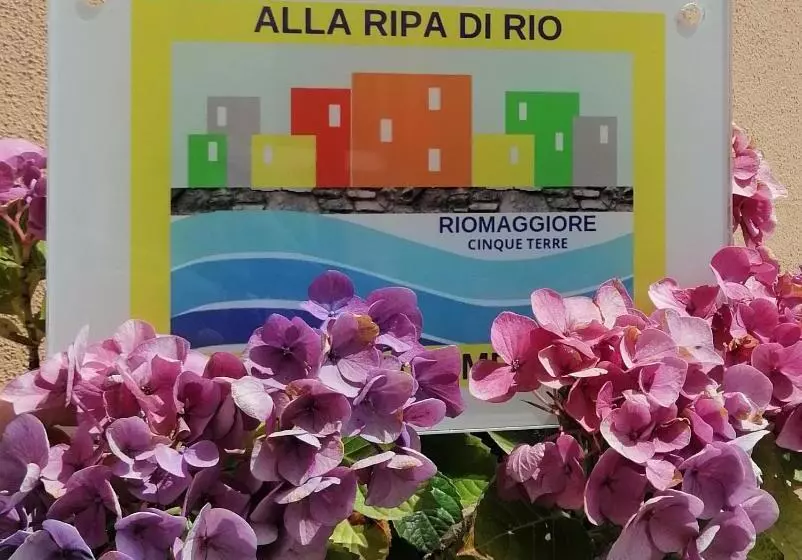 پانسیون Alla Ripa Di Rio