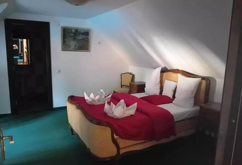 ペンション Hanul Pescarilor Crisan