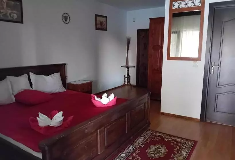 ペンション Hanul Pescarilor Crisan