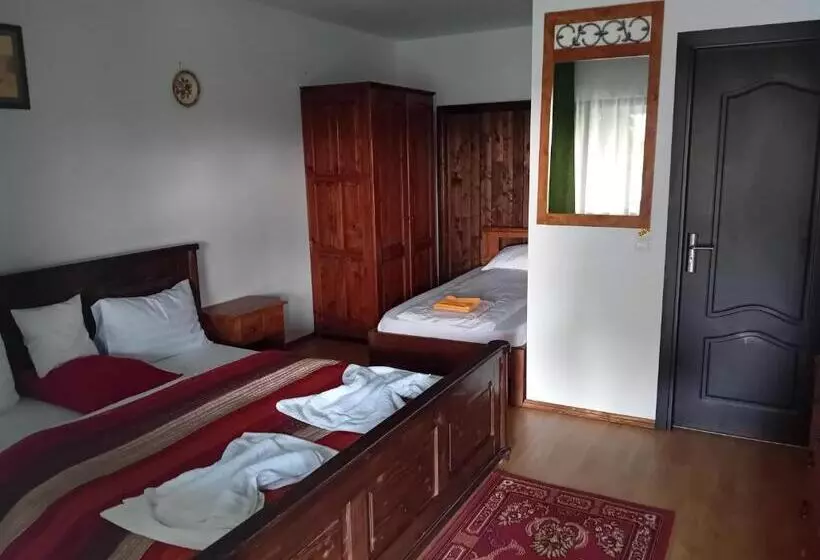 ペンション Hanul Pescarilor Crisan