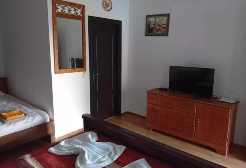 ペンション Hanul Pescarilor Crisan