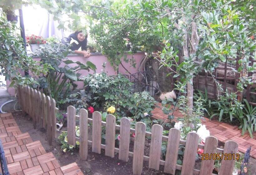 Пансион Scacciapensieri S Home