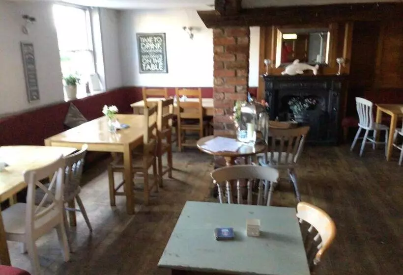 Aamiaismajoitus (B&B) Dolphin Inn