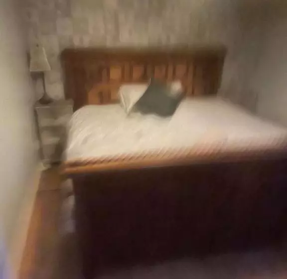 Aamiaismajoitus (B&B) Dolphin Inn