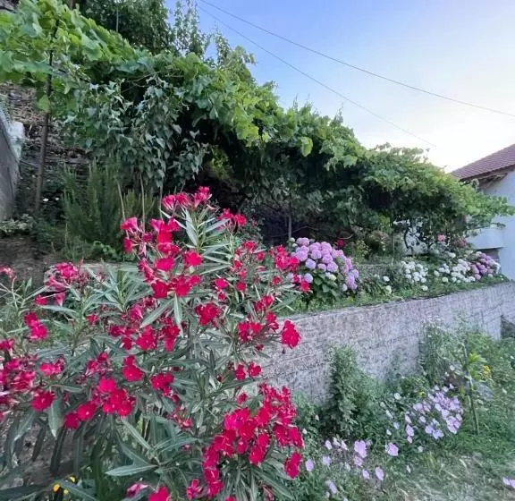 تختخواب و صبحانه Elsa S Villa