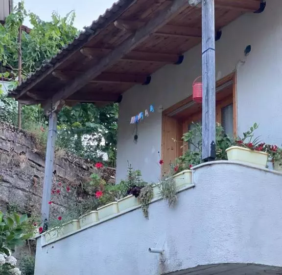 تختخواب و صبحانه Elsa S Villa