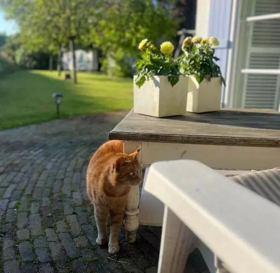 ベッドアンドブレックファースト Lingeliefde Logement Complete Studio Met Eigen Keuken En Badkamer