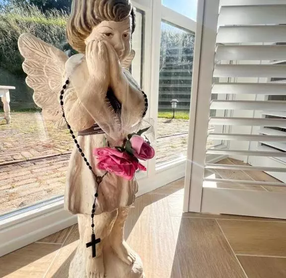 ベッドアンドブレックファースト Lingeliefde Logement Complete Studio Met Eigen Keuken En Badkamer