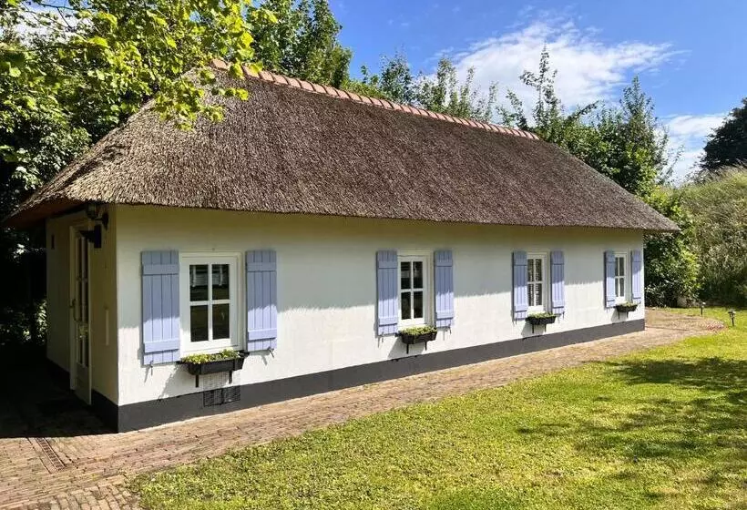 ベッドアンドブレックファースト Lingeliefde Logement Complete Studio Met Eigen Keuken En Badkamer