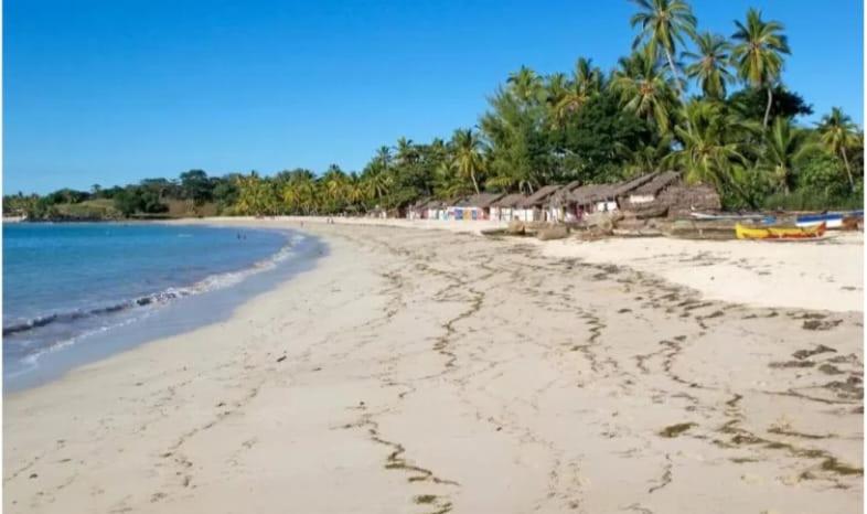 تختخواب و صبحانه Summer Dreams