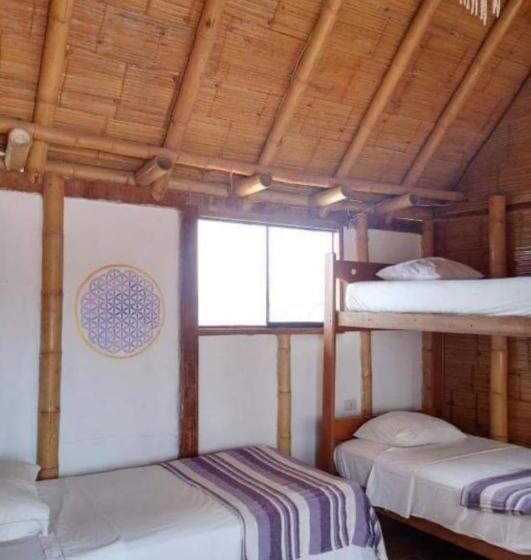 호텔 Casa Del Mar Ecodelfinazul