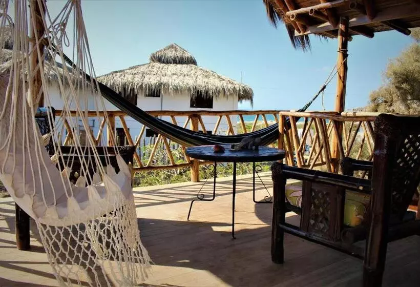 هتل Casa Del Mar Ecodelfinazul