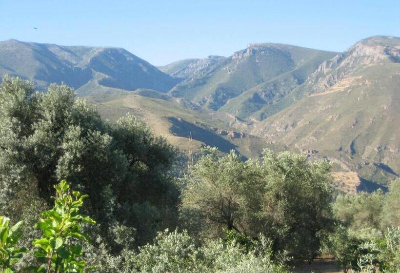 膳宿费 Estudio Escondido Orgiva