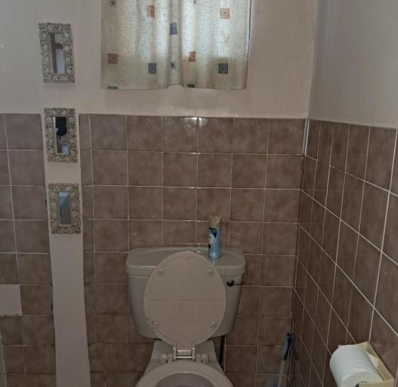 膳宿费 Mossie S Nes