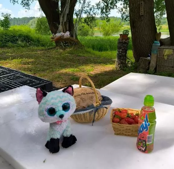 پانسیون Pirtelė Rykštelė