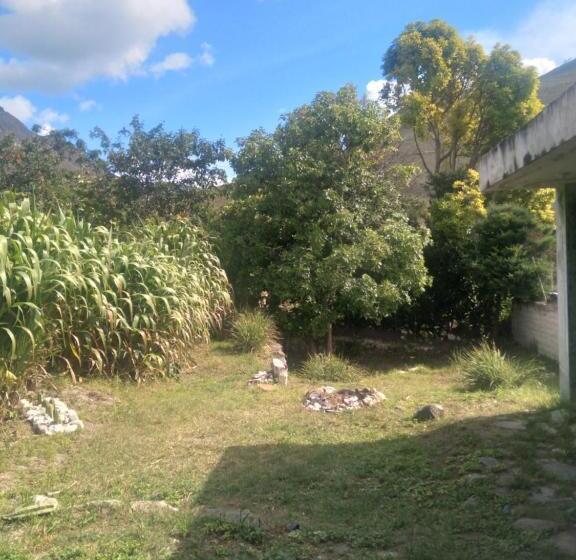 Silic Hostel Camping