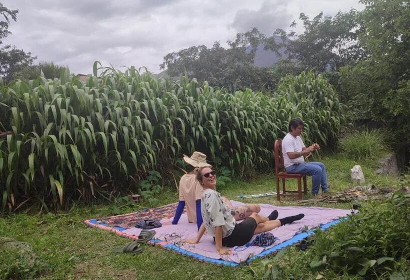 Silic Hostel Camping