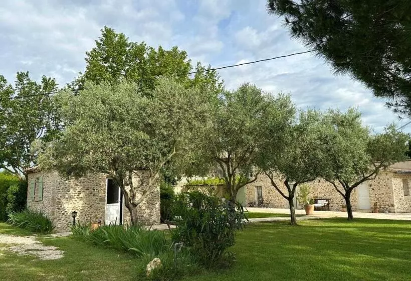 تختخواب و صبحانه Maisonnette Indépendante Au Calme Avec Un Grand Jardin