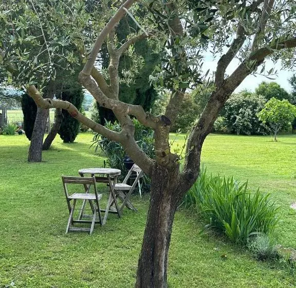 تختخواب و صبحانه Maisonnette Indépendante Au Calme Avec Un Grand Jardin