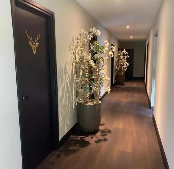 Aamiaismajoitus (B&B) The Lodge