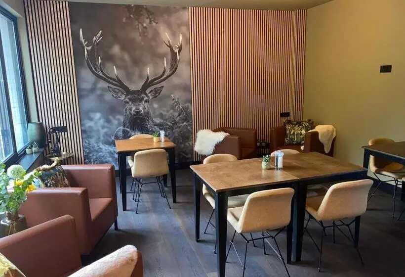 Aamiaismajoitus (B&B) The Lodge