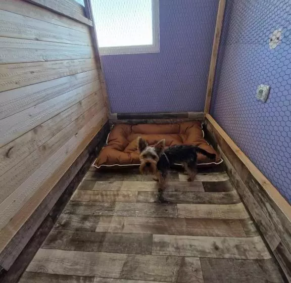 Dog Hotel Sunny Beach