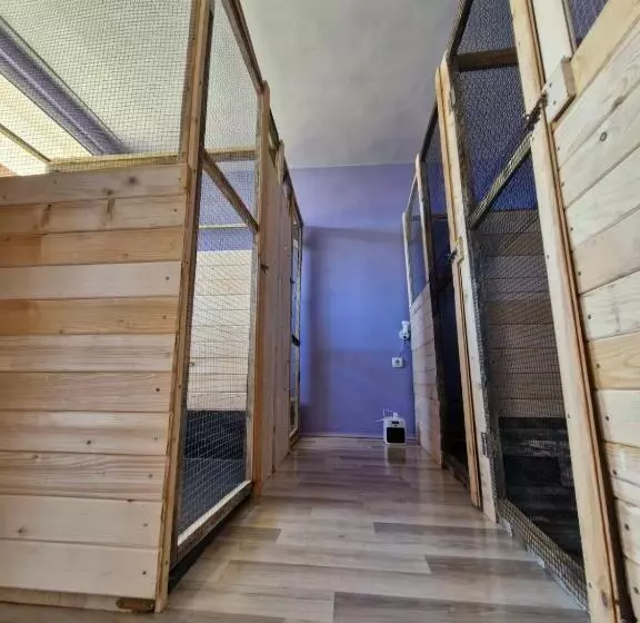 Dog Hotel Sunny Beach