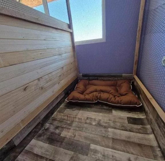 Dog Hotel Sunny Beach