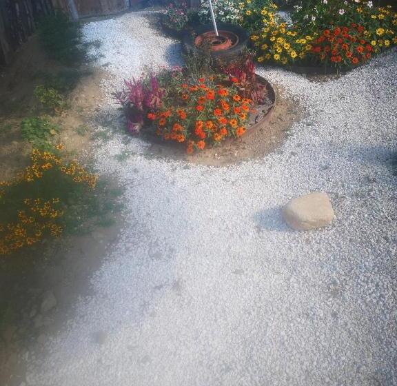 پانسیون Au Balaway